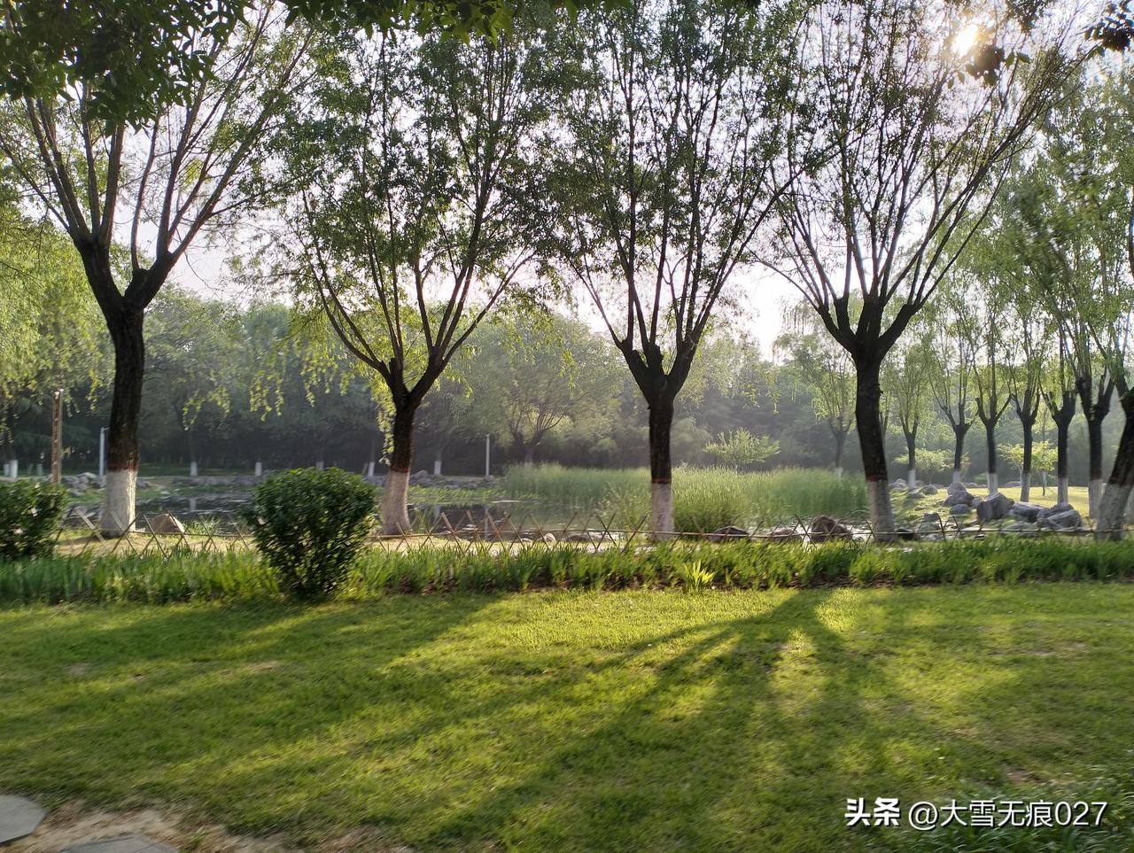 生活不必很惊艳，但要活得有光。
认真对待工作，踏实过好每一天，不焦虑、不抱怨、不