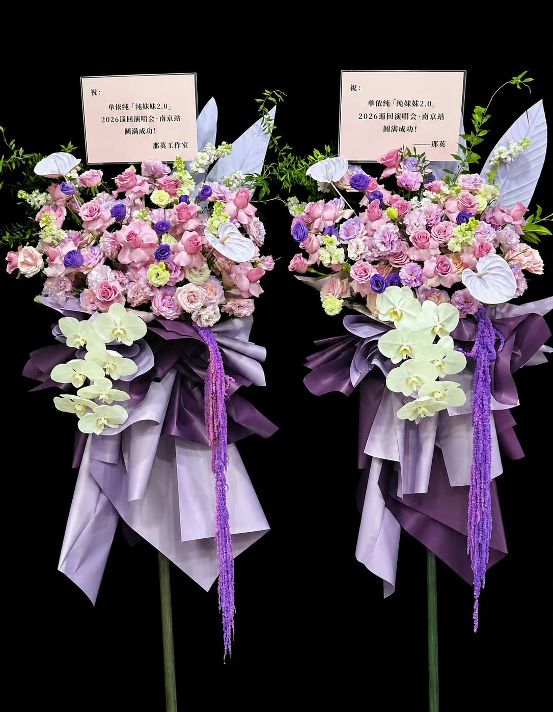 那英单依纯互送花篮 都是顶好的女歌手啊祝两位巡演顺利票房大卖 