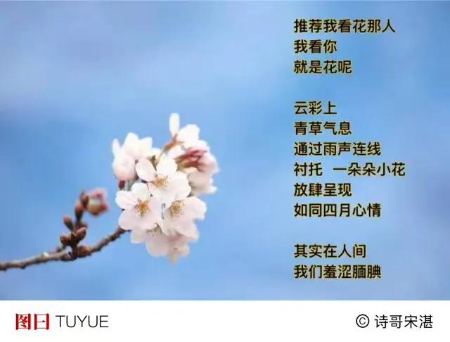 每天都会想起
那个人一定是亲人
·
春天一起开花
穿逾夏日雷鸣电闪
．
在秋天
