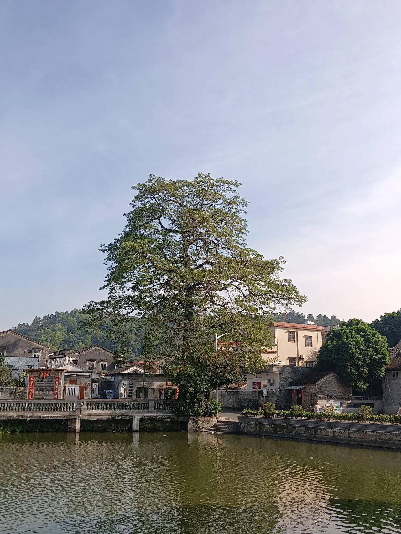 一平方米大小的庙，却受到村民和周边群众的常年拜祭，终年香火不断。相比花费大量金钱