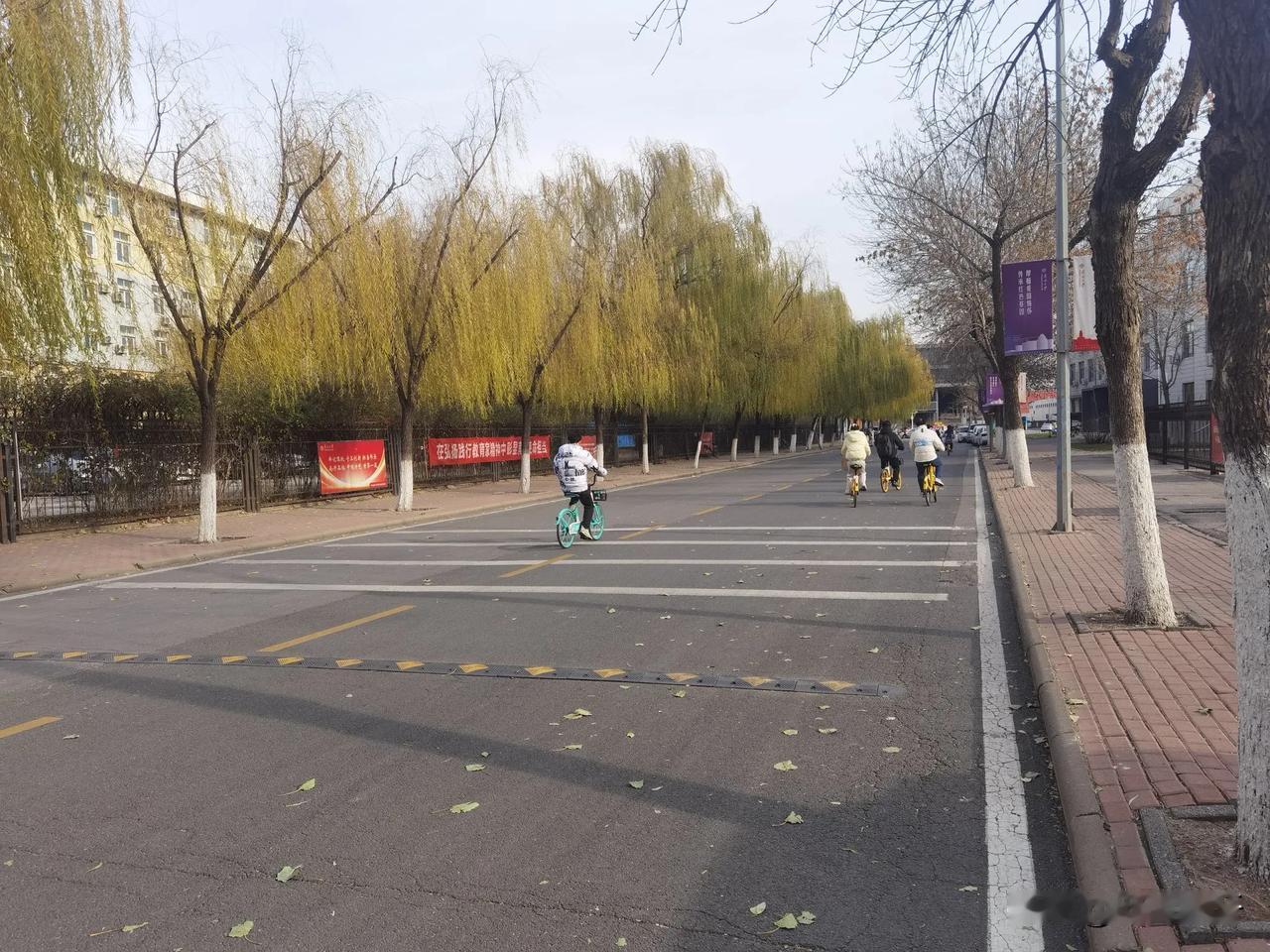 [万柿如意][万柿如意][万柿如意]南开校园