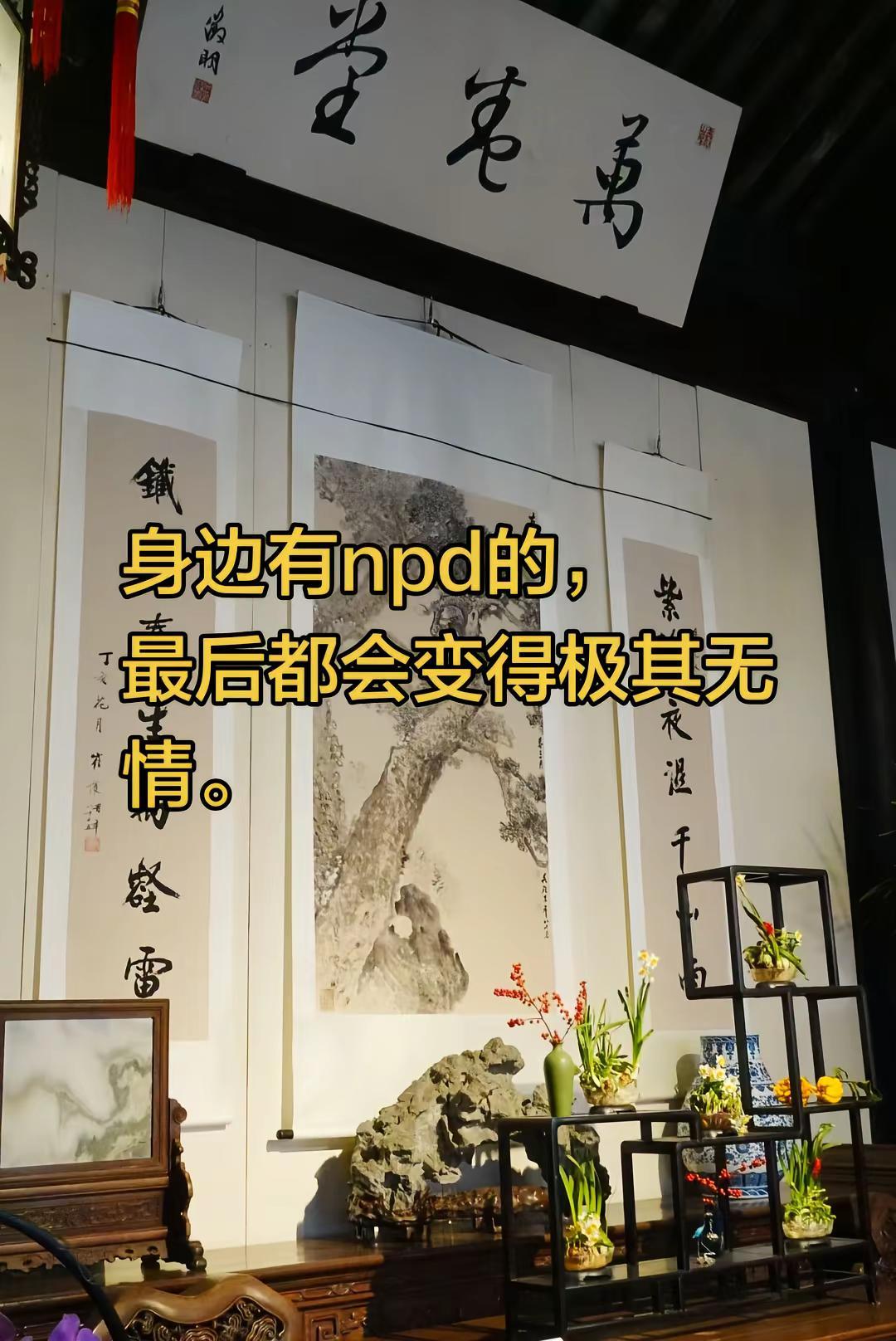 多情总被无情恼。雪包们一生真诚善良责任心重，最后终于觉醒。从此以后，在物理空间上