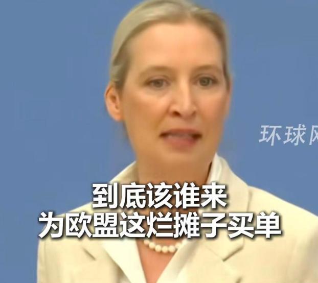 欧洲真要变天了！德国这是嫌日子太安稳，非要主动“挨揍”？国家都快被折腾到破产，现