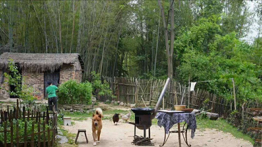 我现在最好的生活状态，就是用心过好每一天烟火寻常，不想卷入任何事非，也不用卷入任