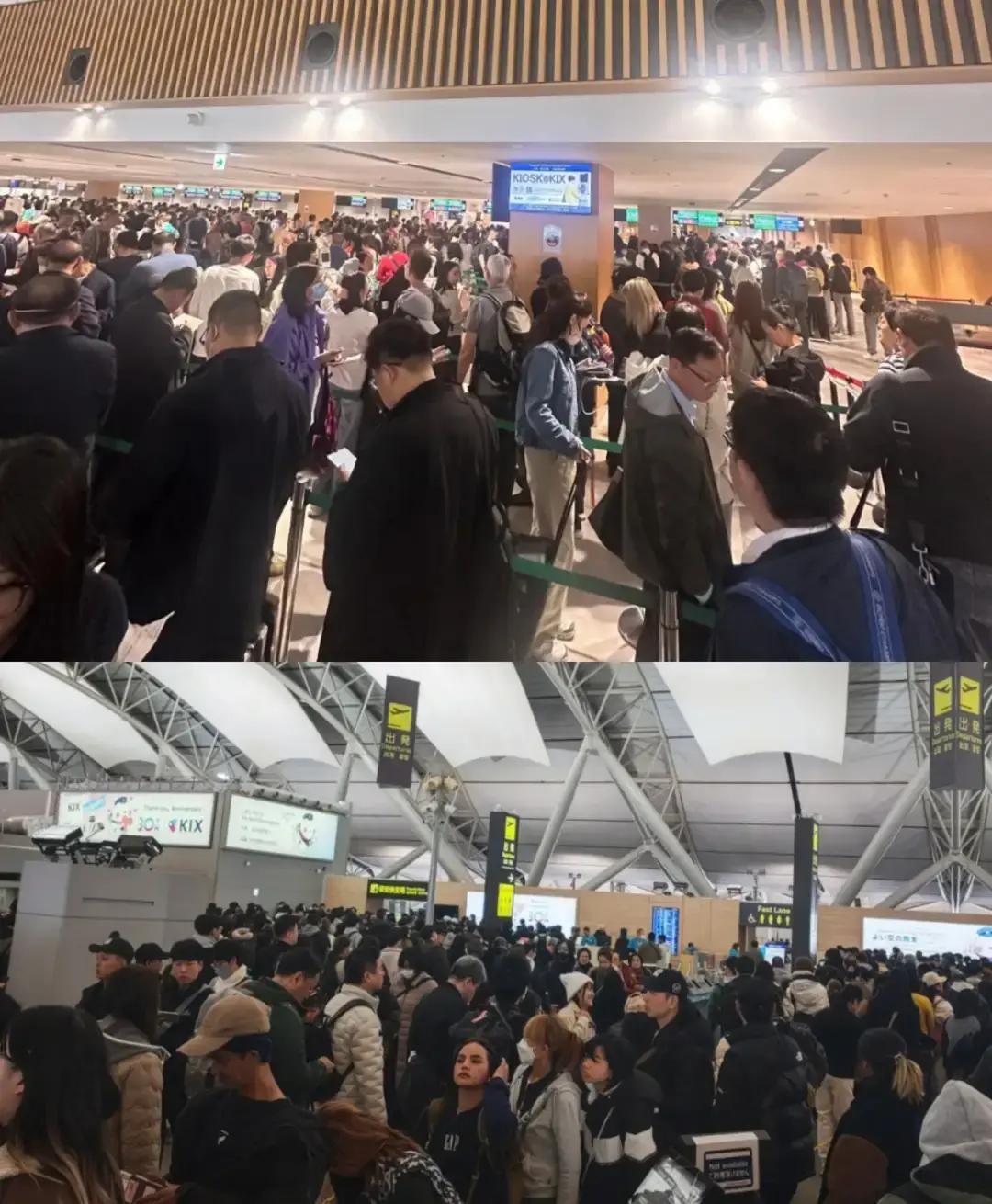 那些不听劝阻，非要赴日的人给所有人上了一课！不管你再有钱再有权，国家劝你你不听那