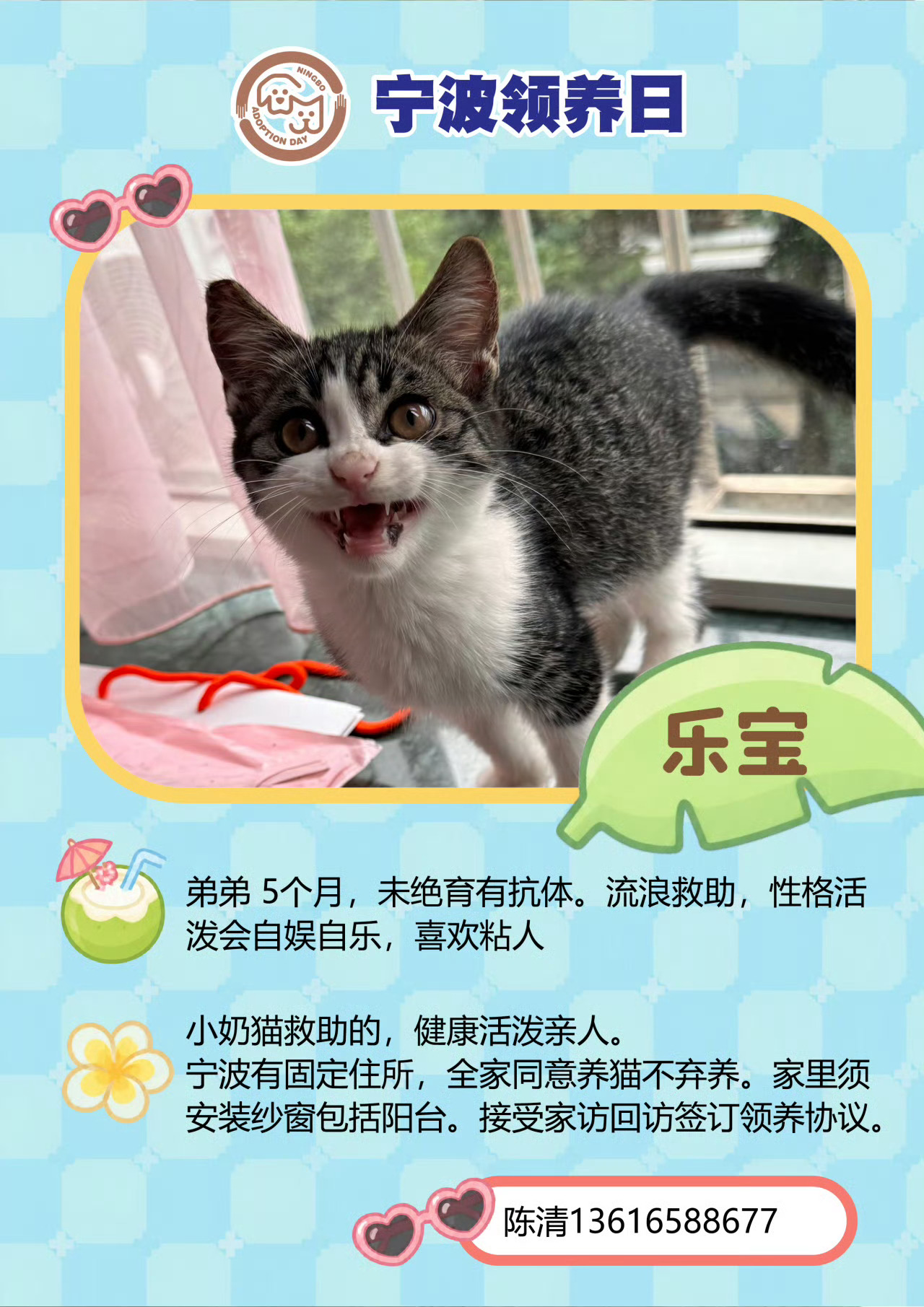 第116届宁波领养日来了 第116届宁波领养日登陆宁波海曙印象城🐱🐶9月13
