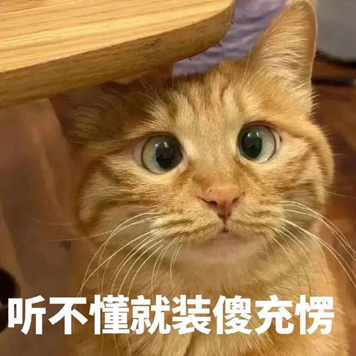 哈哈哈哈哈哈今天你们约会能不能带上我，你们没劲了，我还能帮忙推推