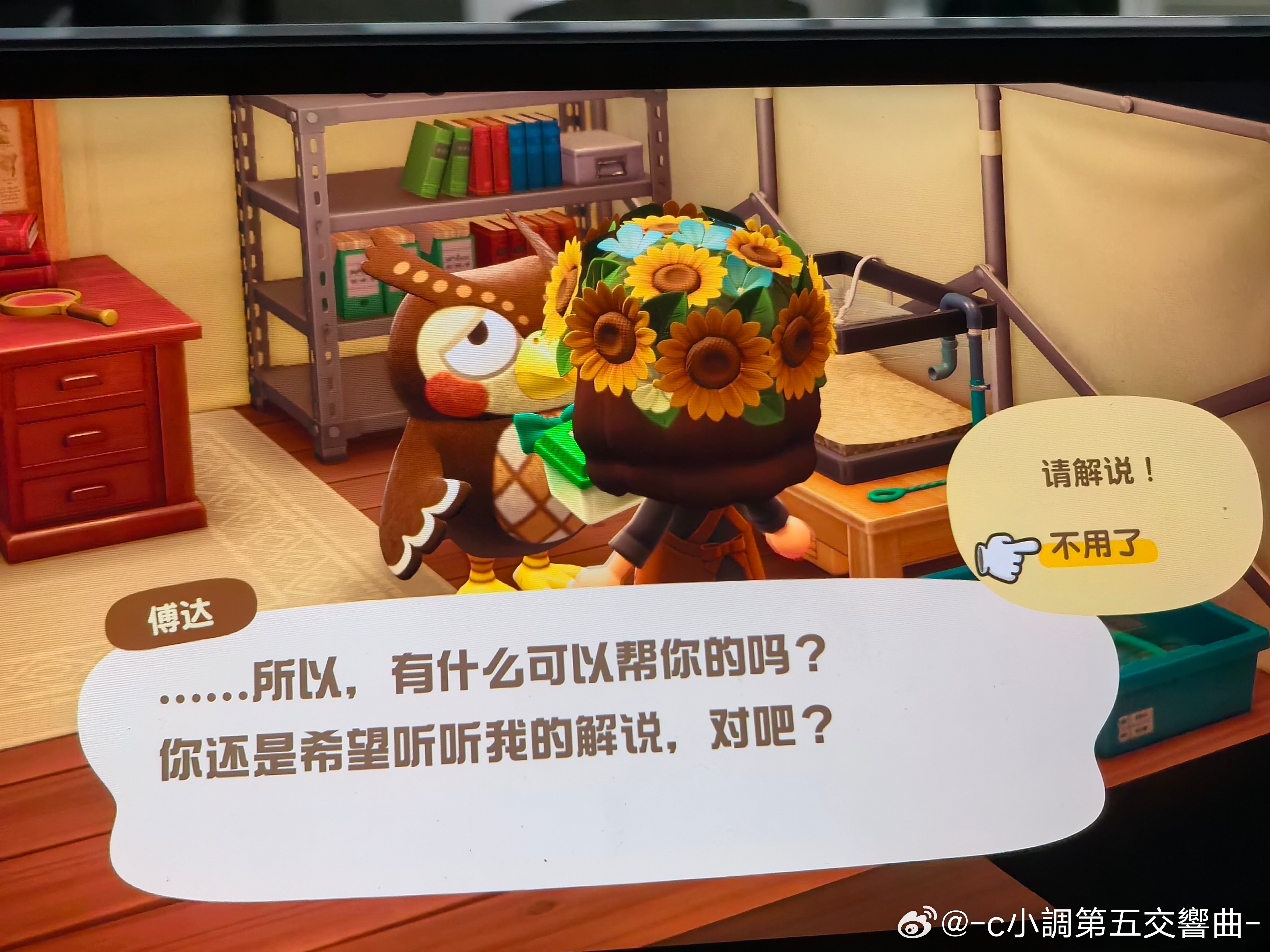 猫头鹰不喜欢昆虫…… 