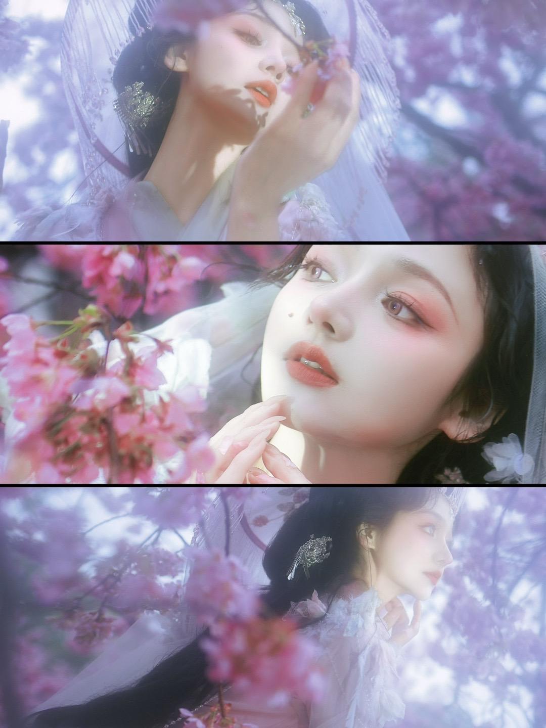 我与旧事归于尽，来年依旧迎花开。摄/后：我