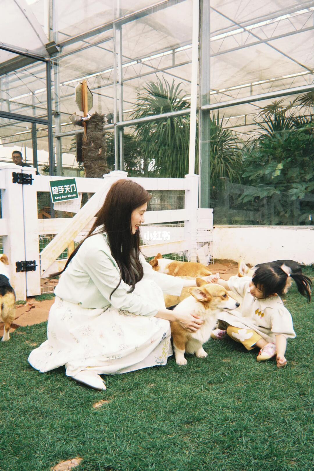 昆明｜和快乐小狗玩一下午🦮🐶