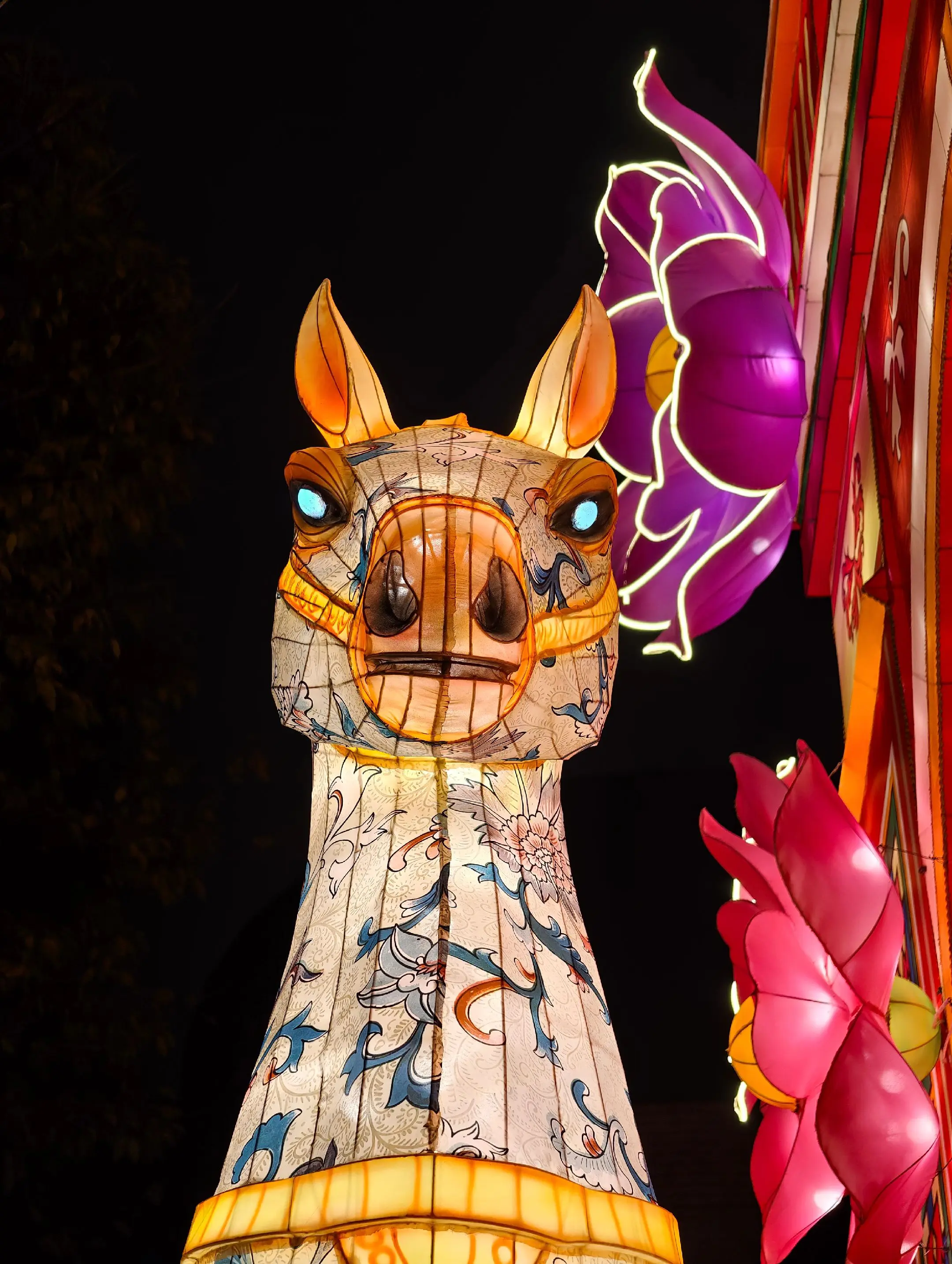 只马，好似系度啤住我。图1，成双成对嘅鼻哥窿。 图3、图4，绝对无映射星一。