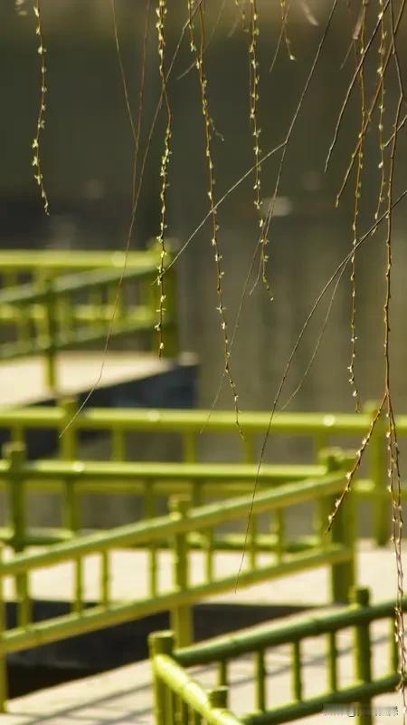 写一副春日对联 春日对联，讲究的就是一个生机勃勃、喜气洋洋。我来整一副：上联“春