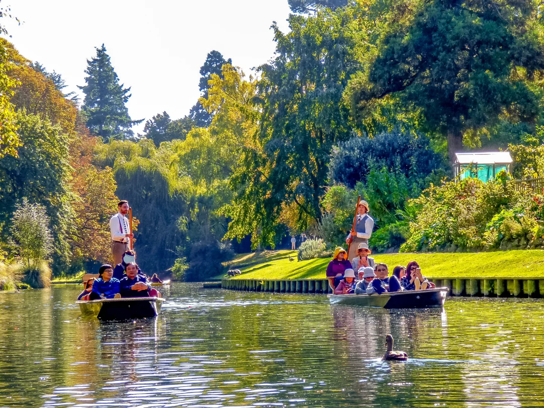 来基督城必打卡的雅芳河泛舟怎么玩？