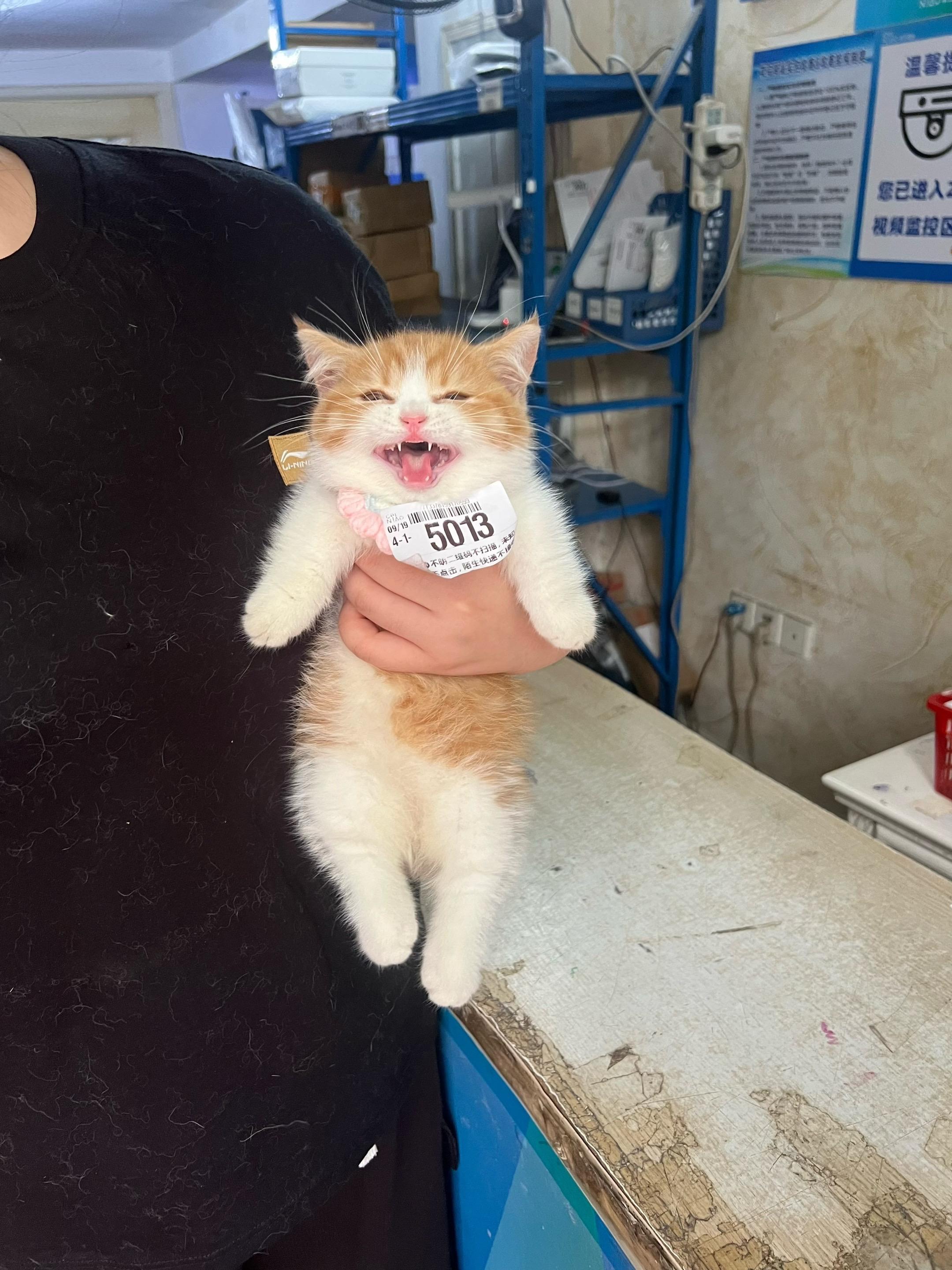 取件码对吗你就拿！！