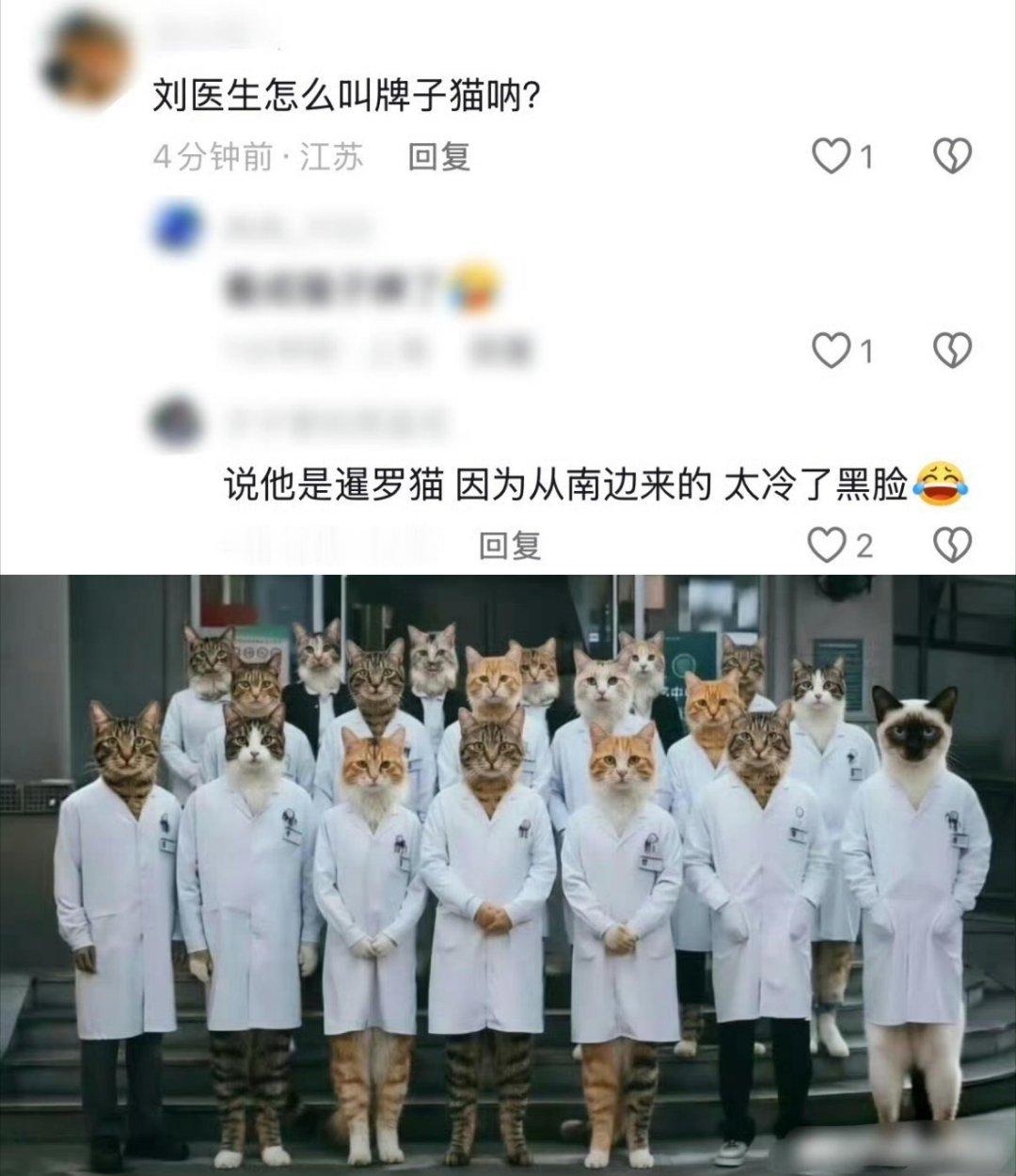 牌子猫原来是暹罗[笑cry] ​​​