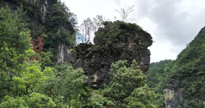 兴山：深山藏石猿，千年守青山