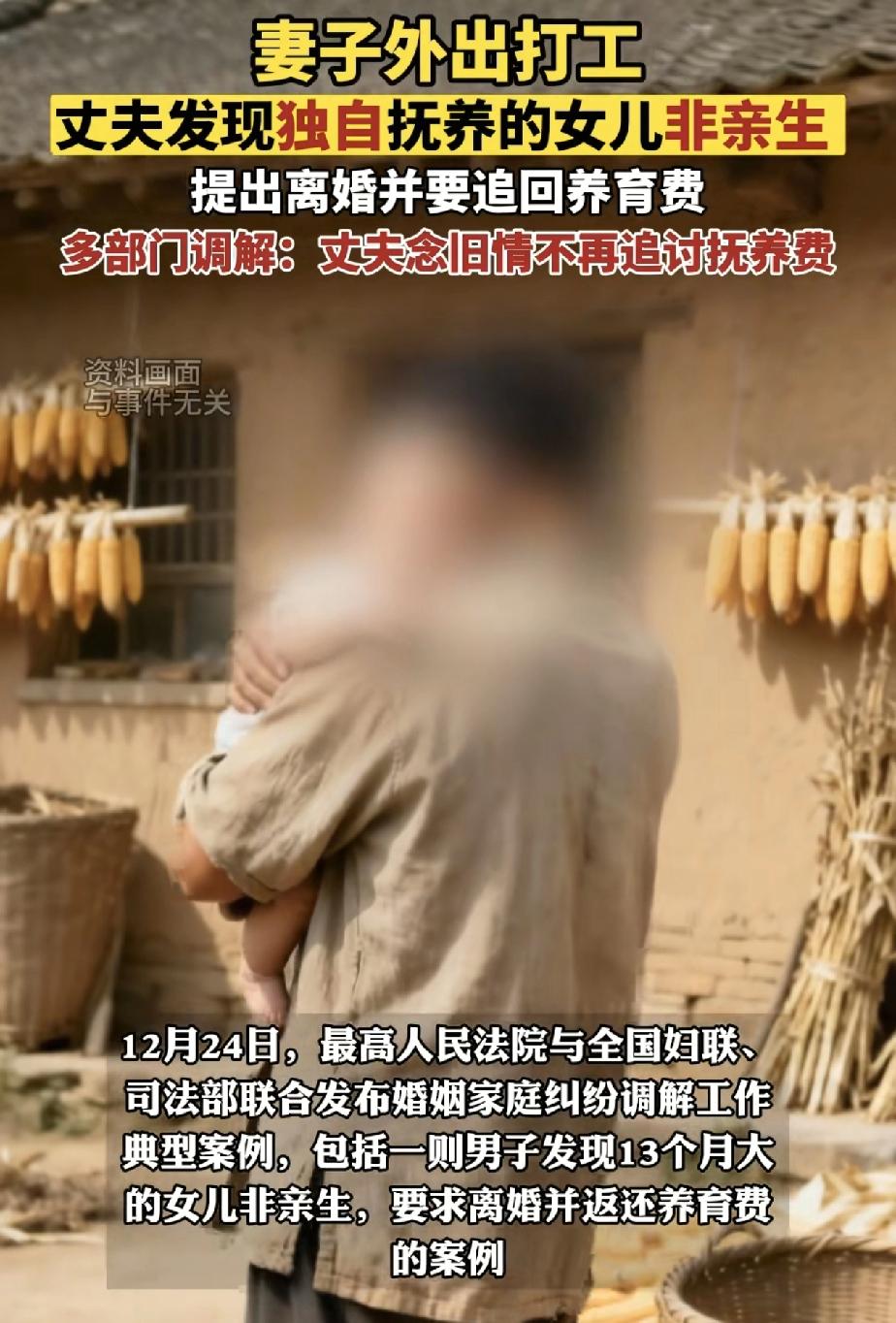 数字调解化解“非亲生”风暴：男子被绿13个月，妇联联动“云”上抚平伤痕

一纸亲