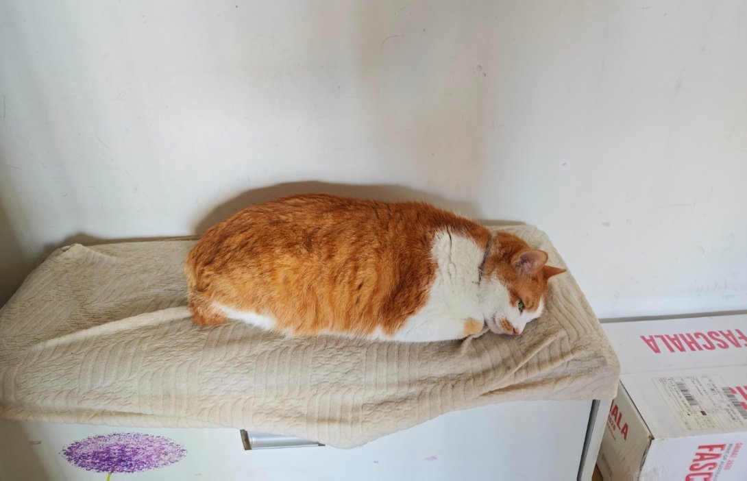 遇到个傻福网约车司机，一车非常正好的挡住我们进去地下室的整个入口，然后我往左转弯