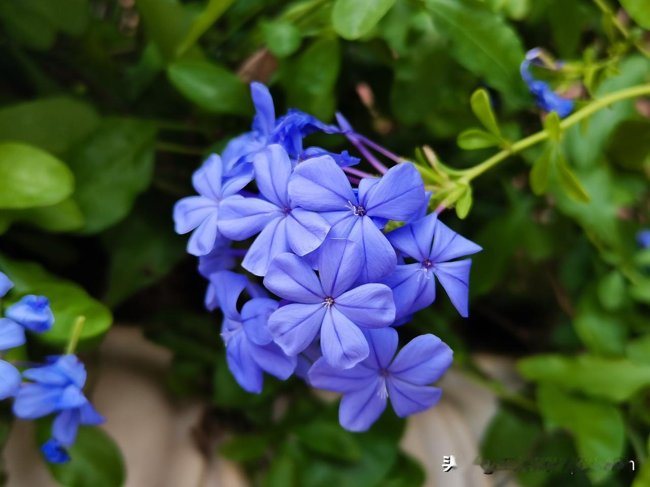 自从加了这个股骨颈骨折康复群，每天看群里的聊天信息成了我刷网的一大部分。偶尔遇到