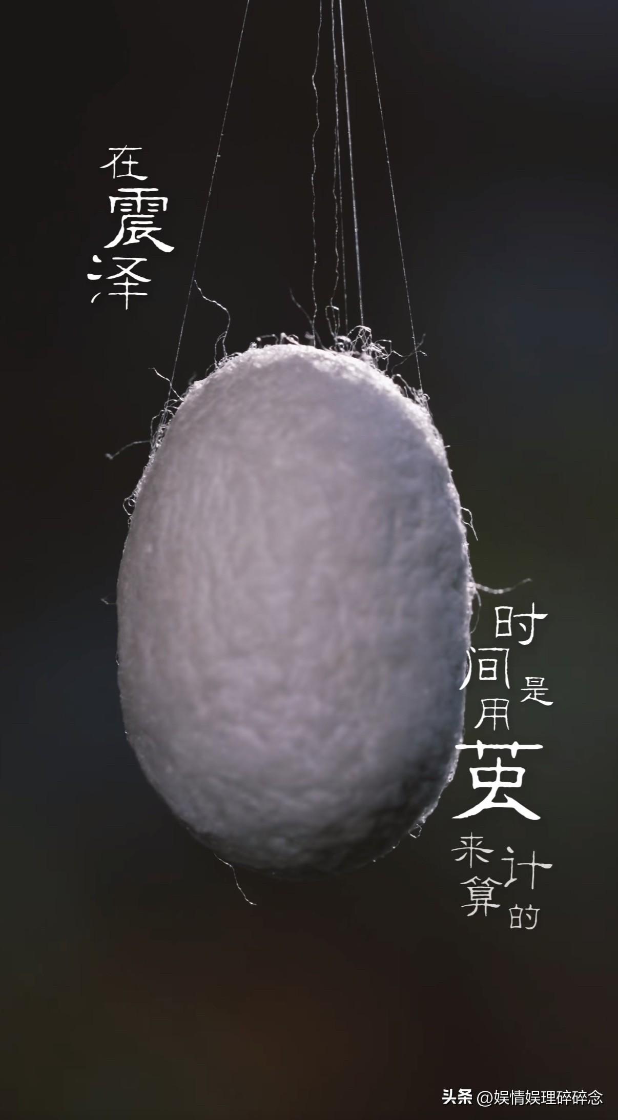 “与辉同行”的广告从不说硬话，却自带说服力。
今天刷到“与辉同行”的定制蚕丝被视