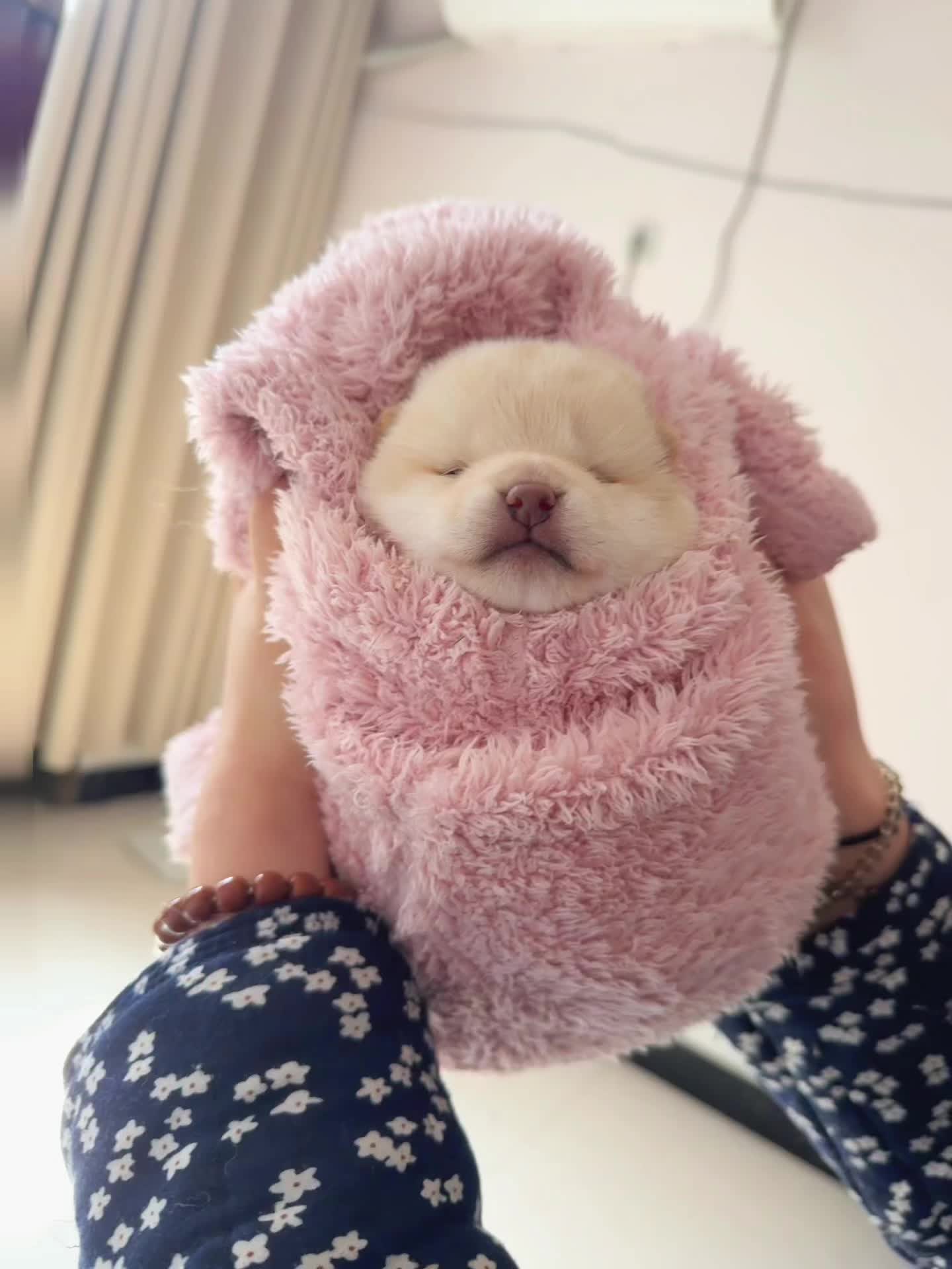 姨姨，小斗萌不萌呀