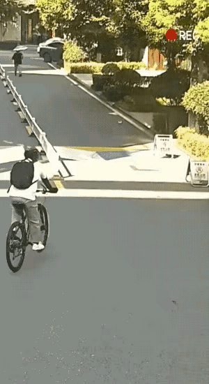 一只小狗
就给绊倒了？