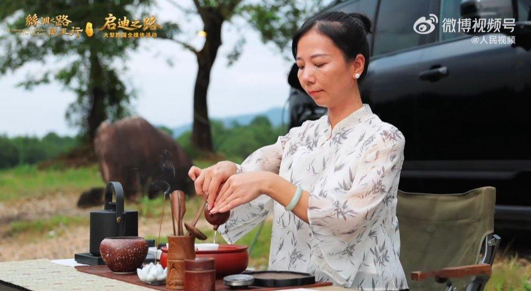 被武夷山的绿狠狠治愈 满眼都是武夷山鲜活的绿，连绵山林褪去心底浮躁，伴着山间微风