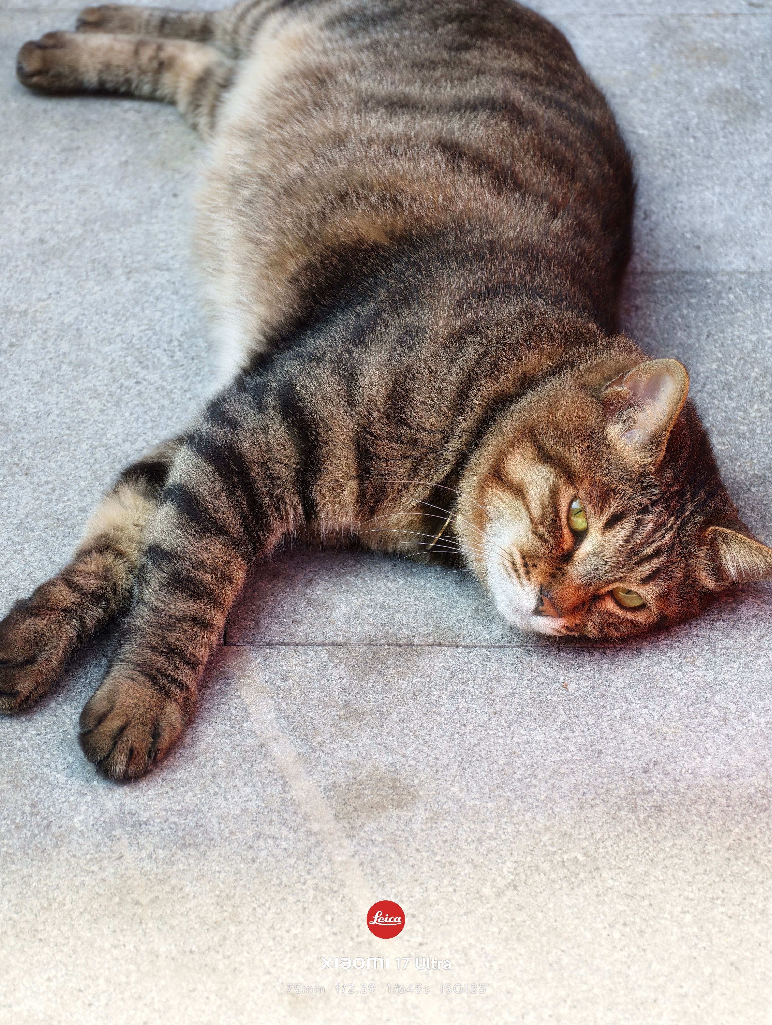 春风沉醉小米17 Ultra 黑柔滤镜 拍摄 