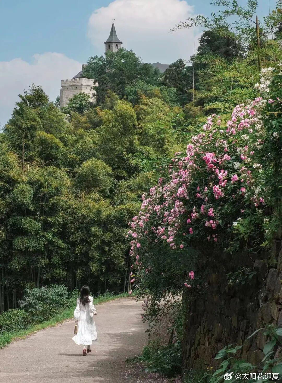 毕业旅行超好玩微博旅行ing毕业季想找近都市的避暑毕业旅行地？来浙江湖州德清就对
