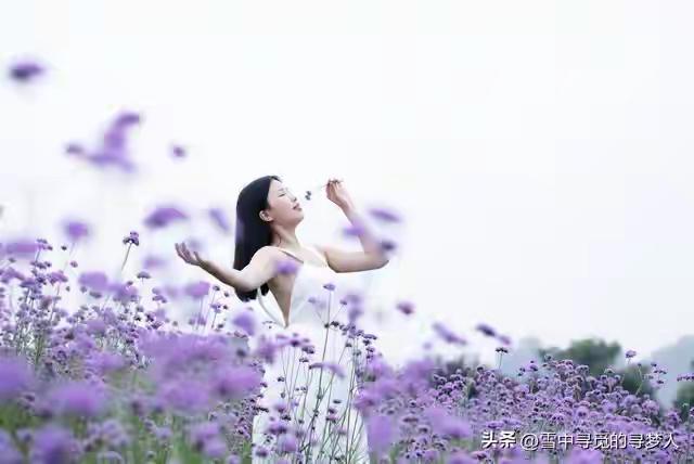 赚钱的苦是一时的，伸手要钱的苦是一辈子的。

人这一辈子，见过太多为生活妥协的女