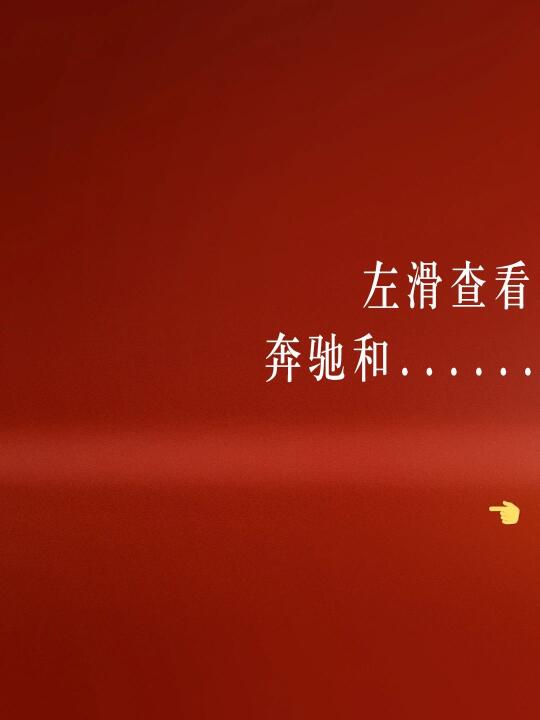 奔驰🚗和宝马🐎的合照