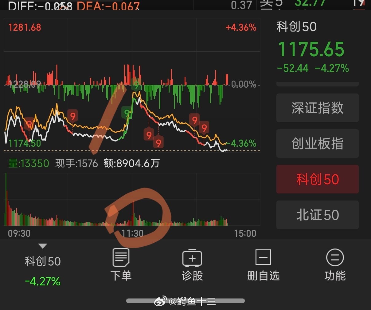 a股 早说了今晚美股还要下跌（看上一条）白天美股期货已经跳水，居然今天还有人去抄