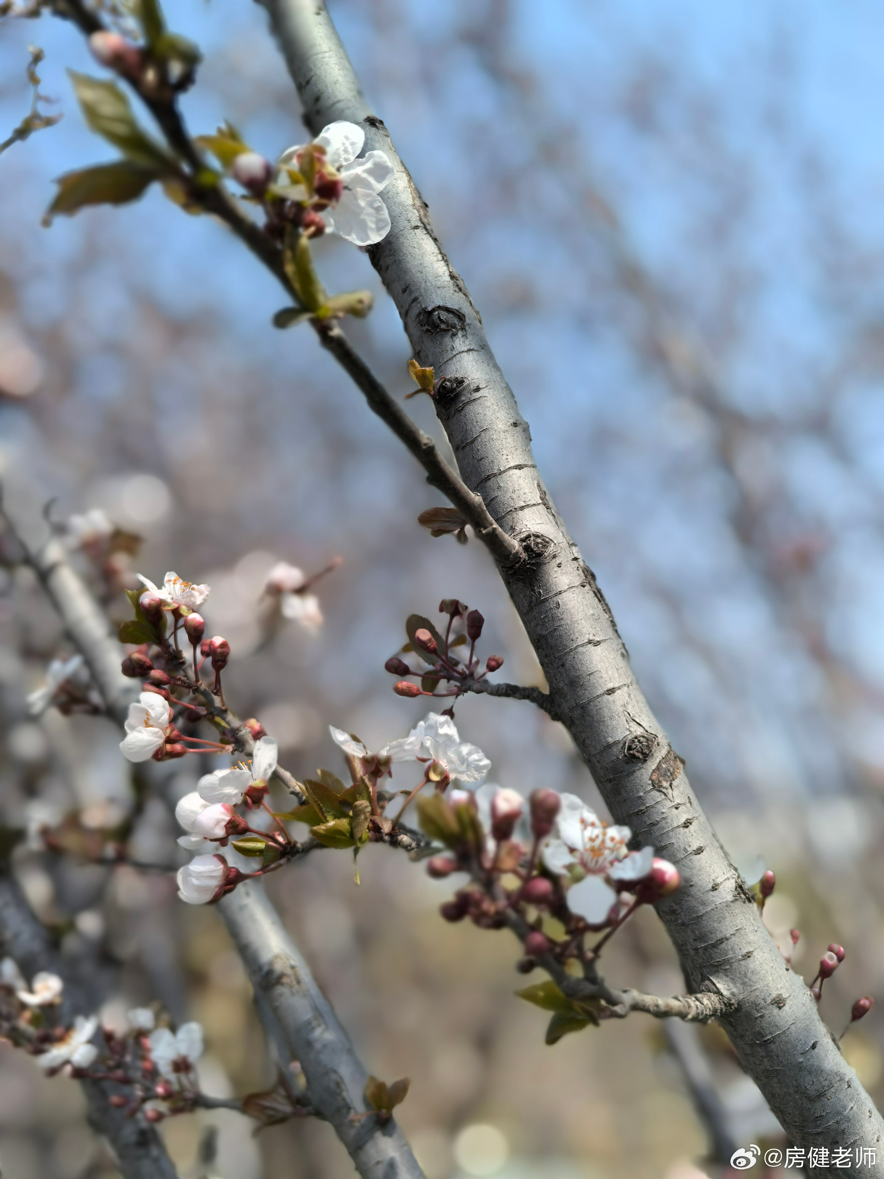 春光明媚☀️出来耍😜希望今年能有较多的户外活动时间…… 济南·孟家水库