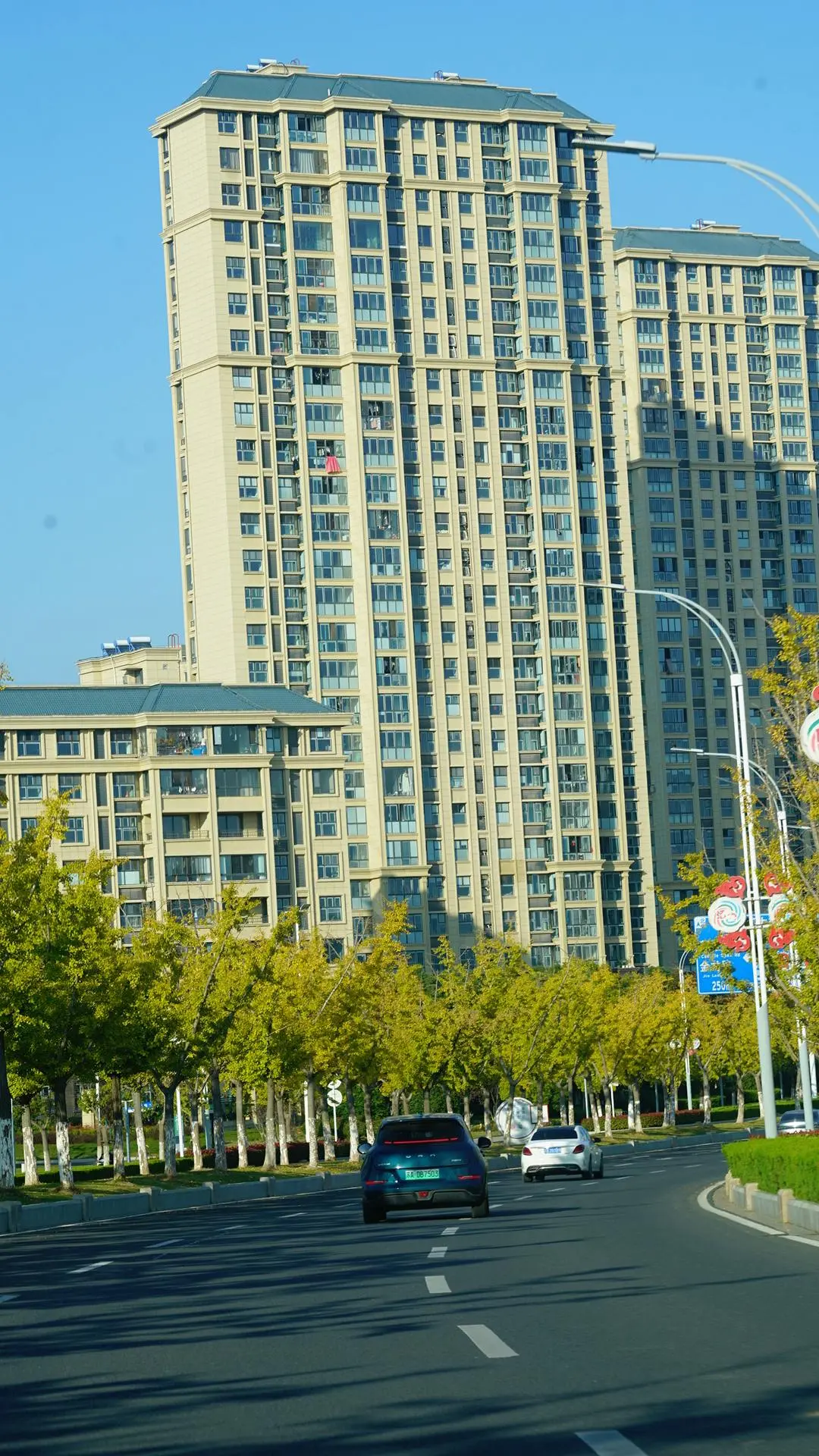 在南京拍出秋日氛围感 路上的风景