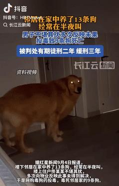 内蒙古通辽，邻居在家养了13条狗，经常在半夜狂叫，男子不堪其扰，多次向物业反馈，