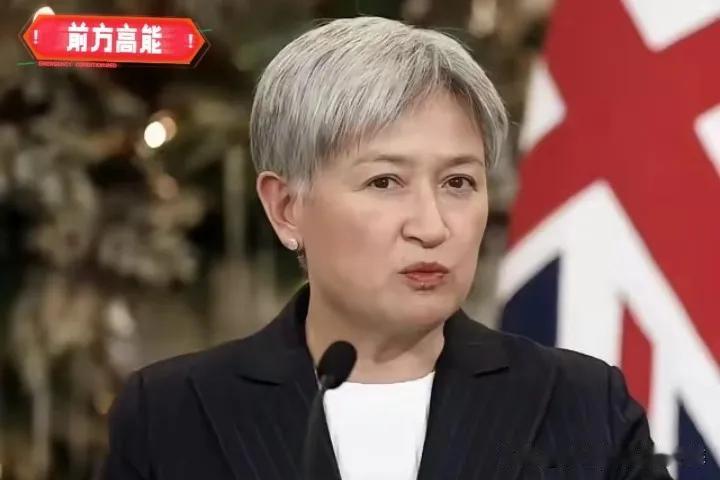 澳大利亚跳出来站队了！
 
外媒报道，中菲在仁爱礁发生冲突后，澳大利亚外长黄英贤