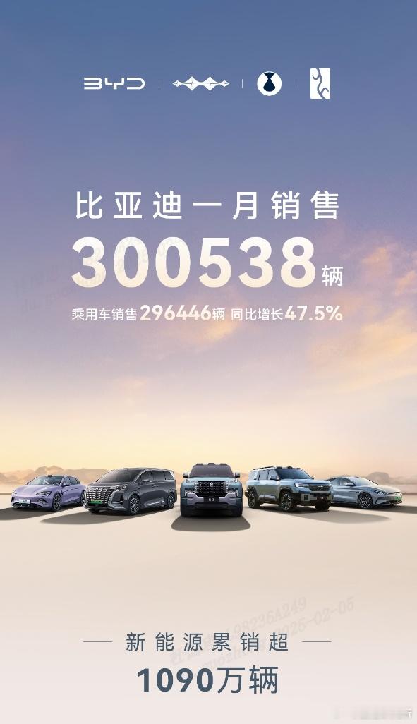 比亚迪开年王炸啊！1月狂销30万+辆，直接拿下中国车市销冠，这波赢麻了！王朝海洋