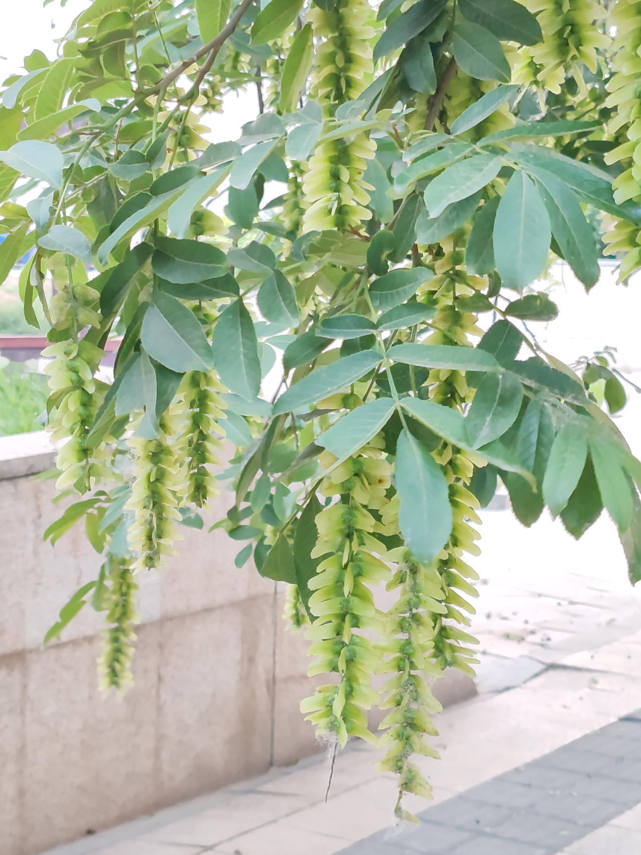 我并不相信。通常而言，人们更倾向于争取利益，而非主动放弃。社会正是凭借利益来引导