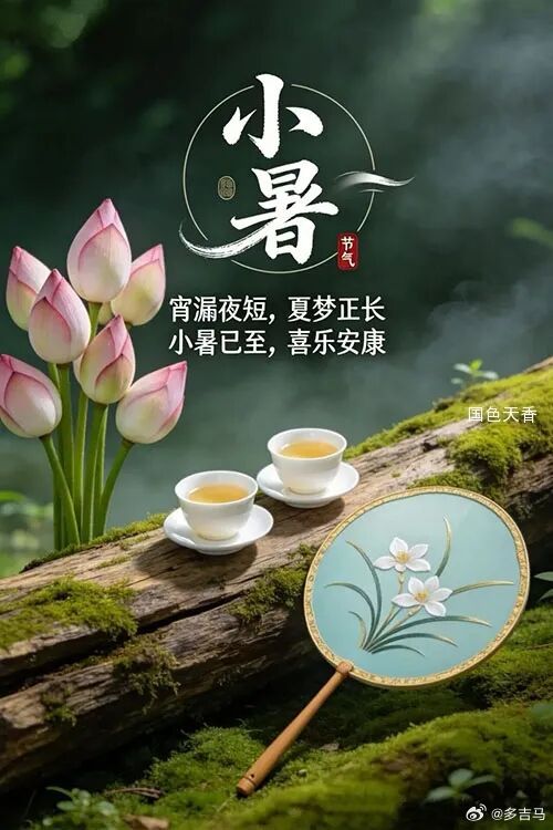历尽坎坷，方知平安就好；历尽艰辛，方知忍耐就好；历尽磨难，方知从容就好；历尽繁华