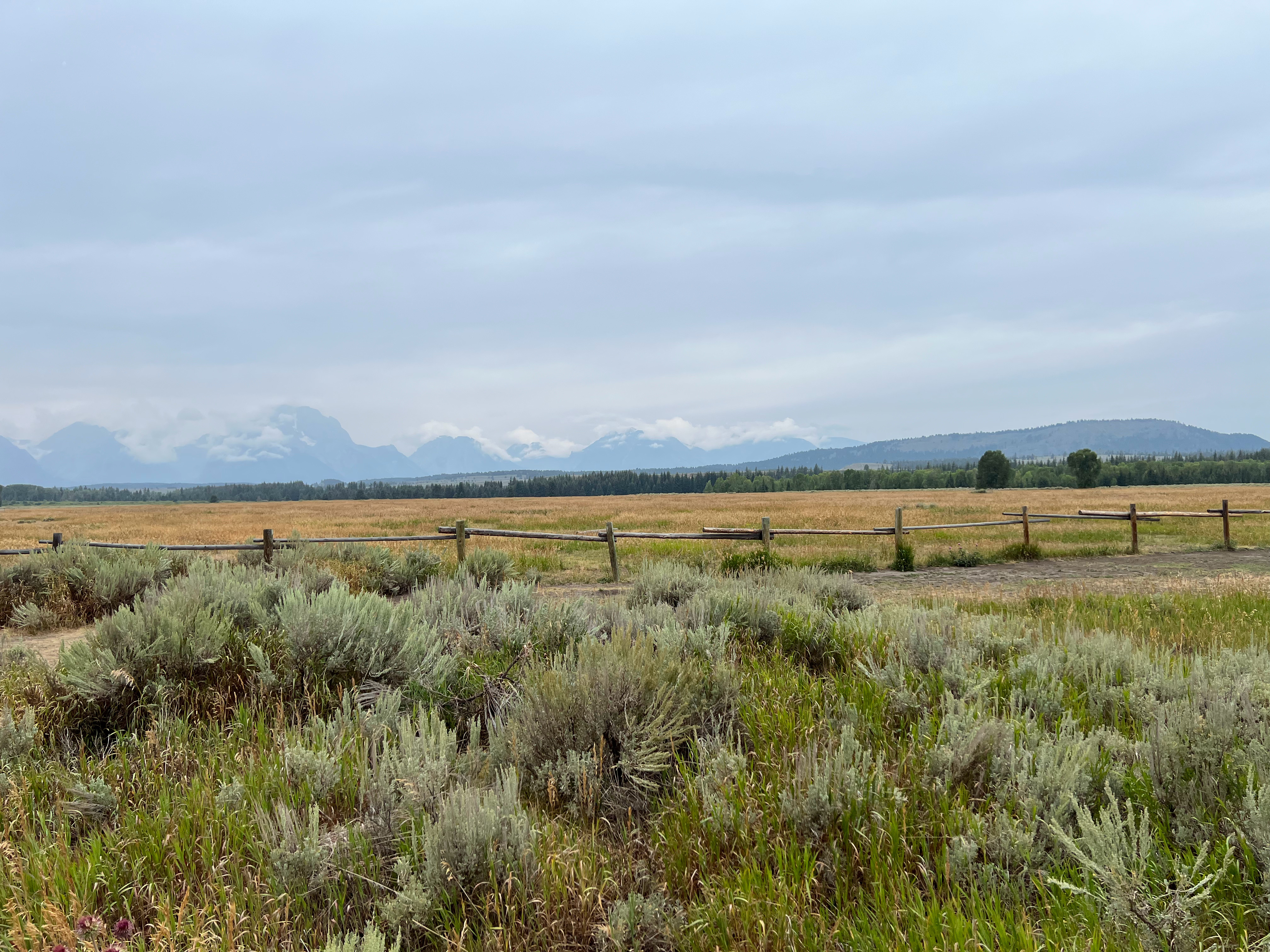 Hello, Grand Teton! 美国·Grand Teton Natio