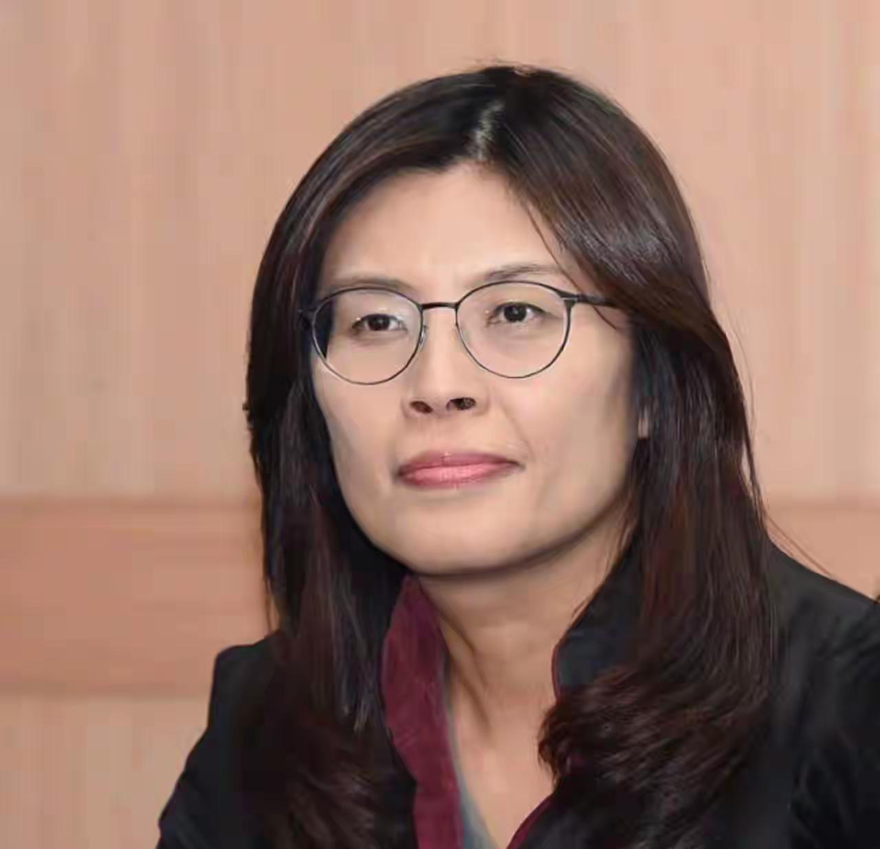 郑丽文访美梦碎，彻底戳穿一个真相：在美国眼里，台湾政客没用时，连见面资格都没有。