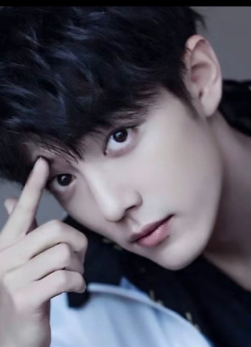 肖战肖战 肖战工作室肖战电影射雕英雄传侠之大者 “你是我跨越山河万里，携带着芳香