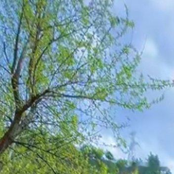 世界上哪有那么多的将心比心，太过考虑别人的感受，就注定自己不好受。所以啊，余生没