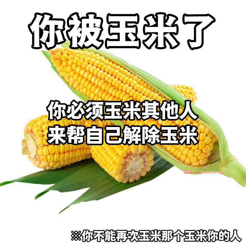 你们被我玉米了meme