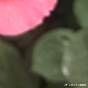 阳光信用🍅阳光信用 每日‎一善 成长就是你主观世界和客观世界之间的鸿沟，你掉进