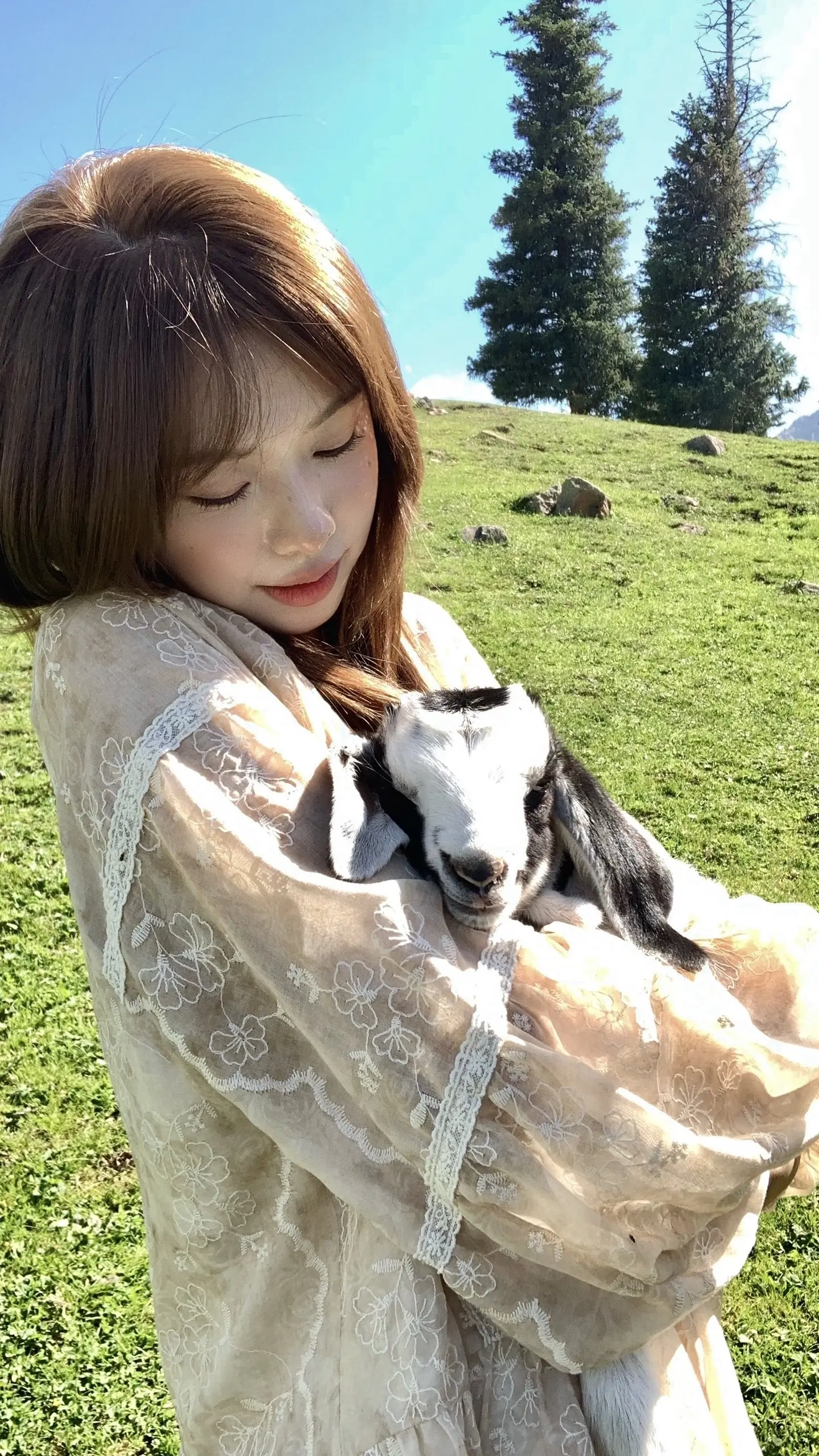 在草原 我和小羊🐑。