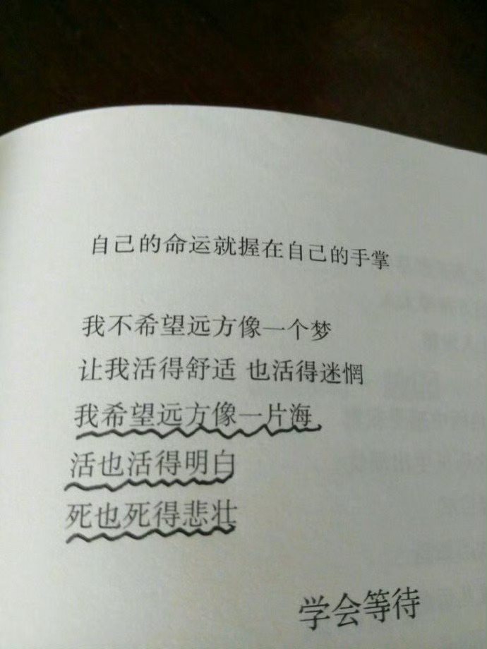 你的好运气藏在你的实力里 也藏在你不为人知的努力里 ​​​