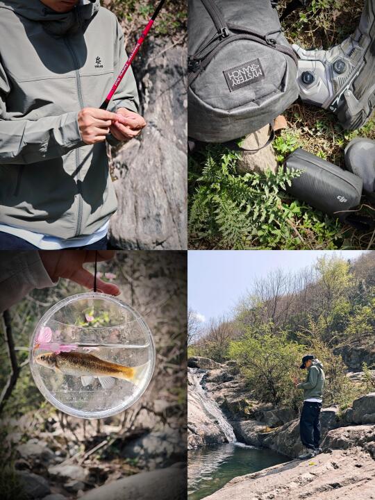 第二天，部分小鱼出现了口腔溃疡