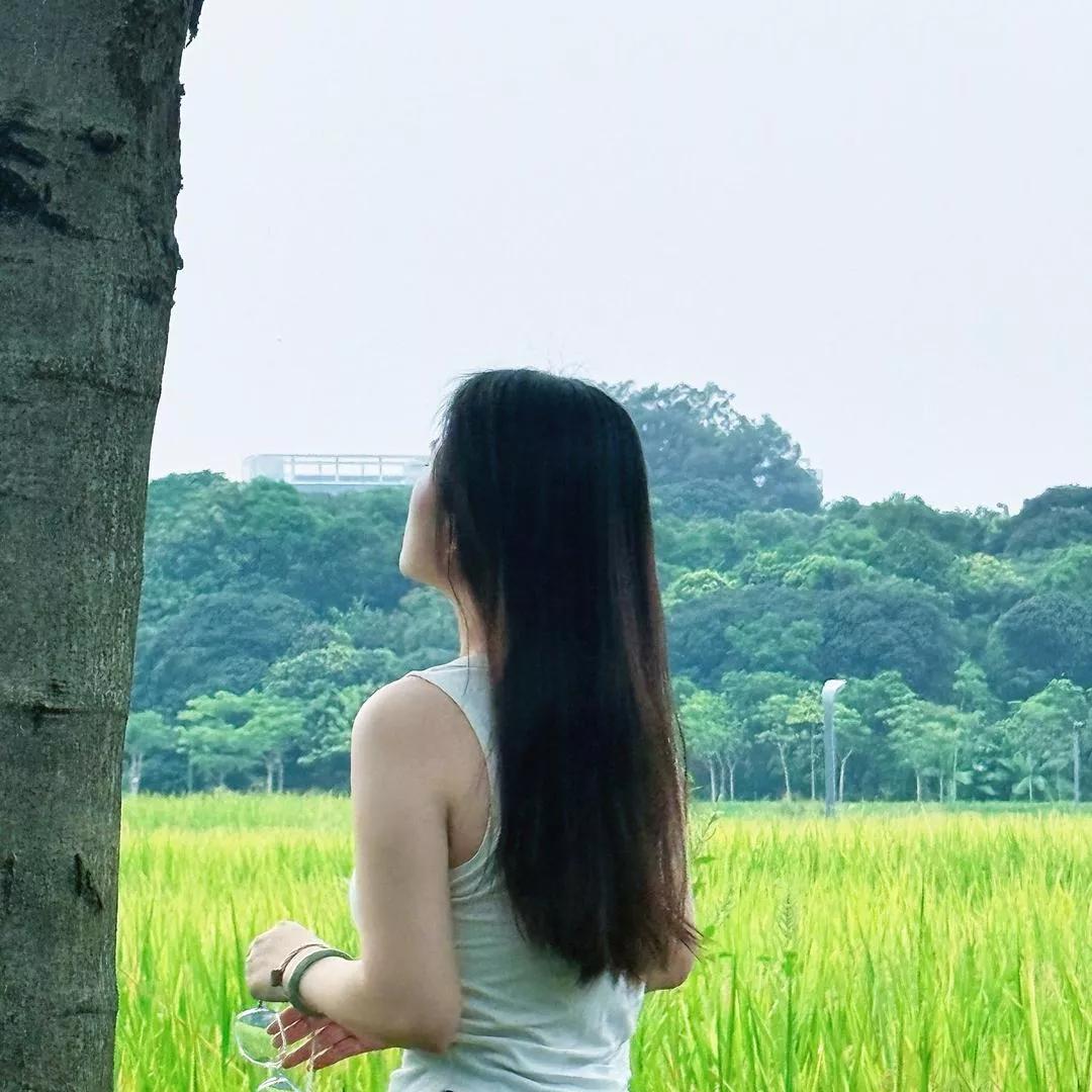 在稻田边，感受微风轻抚发梢稻田风光美如画 稻田间稻穗 观赏稻田 晨霜稻田 稻田拍