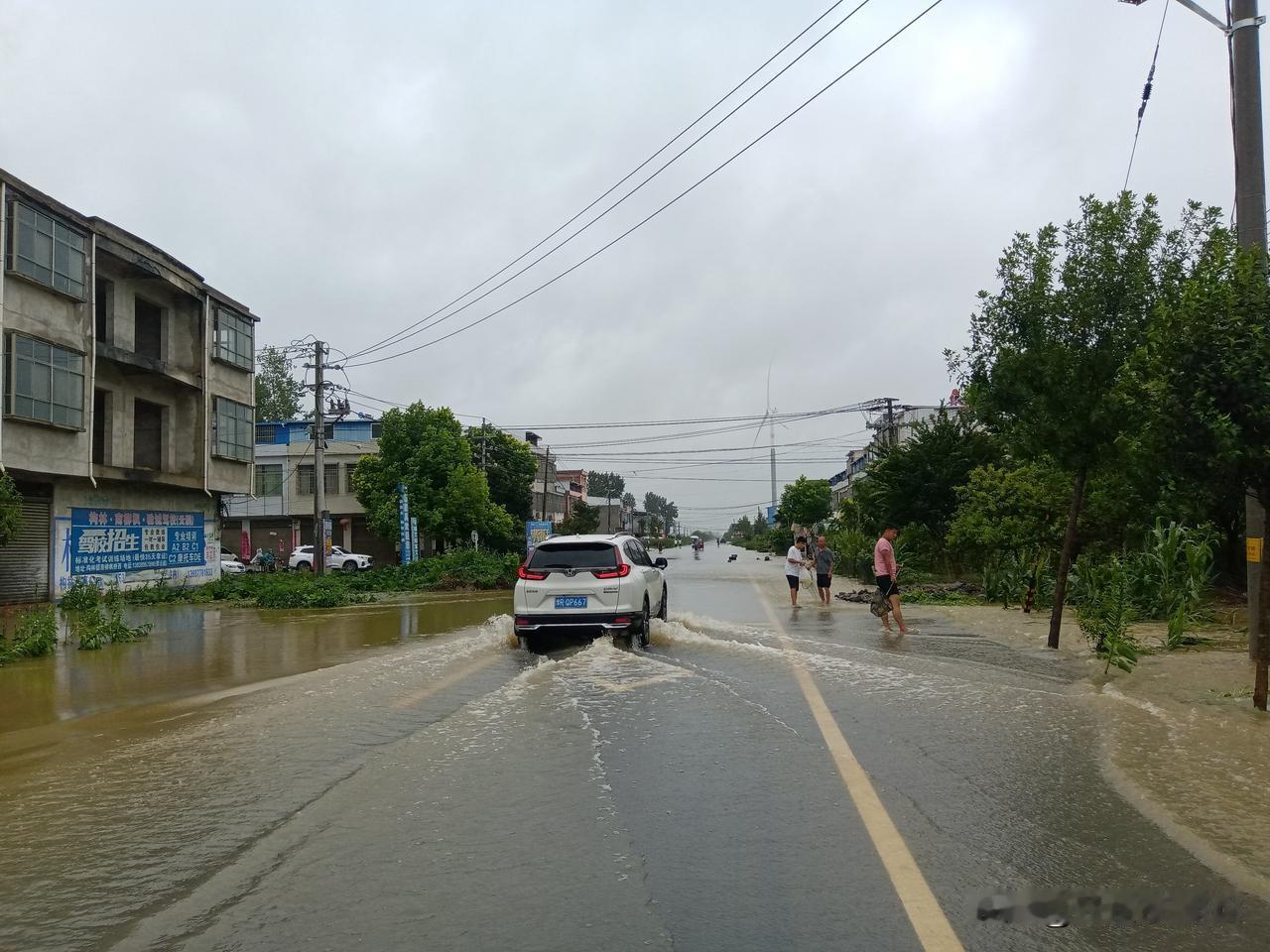 邓州构林大雨后，地里处处是水，庄稼被淹，洼地变成池塘，有人在路上逮鱼。
受台风影